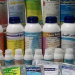 علي عوف: معارض الأدوية البيطرية تهدد الأمن القومي وتستوجب رقابة موحدة - 1 - سيناء الإخبارية