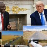 ترامب يروج مزاعم إبادة المزارعين البيض أمام رئيس جنوب إفريقيا رغم تفنيدها بالأدلة - 1 - سيناء الإخبارية