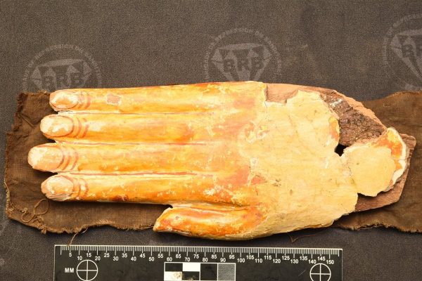 مصر تتسلم 7 قطع أثرية من فرنسا ضمن جهودها لحماية التراث واسترداد الآثار المنهوبة - 5 - سيناء الإخبارية
