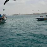 حرس الحدود السعودي ينقذ 10 مصريين بعد جنوح مركبهم بمنطقة القنفذة - 1 - سيناء الإخبارية