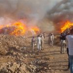 نيران تلتهم شونة كتان في الغربية والدفع بـ25 سيارة إطفاء - 1 - سيناء الإخبارية