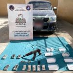 مصرع عنصرين شديدي الخطورة بالمنوفية والمنيا.. صور - 3 - سيناء الإخبارية
