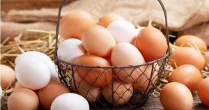 استقرار أسعار البيض بالأسواق المحلية في بداية تعاملات اليوم - 3 - سيناء الإخبارية