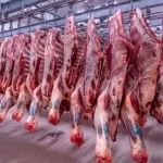 استقرار أسعار اللحوم مع اقتراب عيد الأضحى ومفاجآت بالأسواق - 5 - سيناء الإخبارية