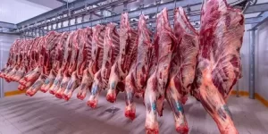 استقرار نسبي بأسعار اللحوم الحمراء في بداية تعاملات اليوم - 1 - سيناء الإخبارية