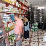 الزراعة تلاحق المبيدات المخالفة في العريش بحملات تفتيش - 1 - سيناء الإخبارية