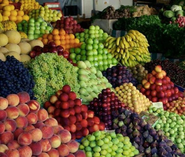 استقرار أسعار الخضر والفاكهة في شمال سيناء اليوم الإثنين 14 يوليو 2025 - 1 - سيناء الإخبارية