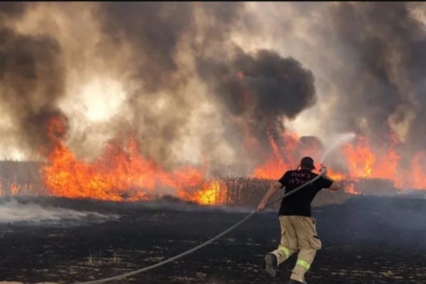 حرائق ضخمة تضرب وادي القدس وتحاصر منازل الإسرائيليين وسط حالة طوارئ - 4 - سيناء الإخبارية حرائق ضخمة تضرب وادي القدس وتحاصر منازل الإسرائيليين وسط حالة طوارئ - 3 - سيناء الإخبارية