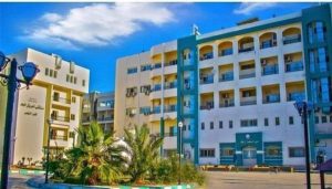 دفعة جديدة من أطباء الجامعات بالعريش تُجري الكشف والعمليات الجراحية مجانًا - 1 - سيناء الإخبارية
