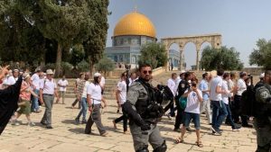 عضو كنيست يقود اقتحاماً جديداً وسط طقوس تلمودية واستفزازات منظمة - 1 - سيناء الإخبارية