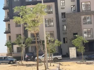 فتح باب توفيق أوضاع أراضي "الحزام الأخضر" بمدينة 6 أكتوبر - 3 - سيناء الإخبارية