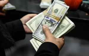قفزة تاريخية لتحويلات المصريين بالخارج تتجاوز 32 مليار دولار - 3 - سيناء الإخبارية
