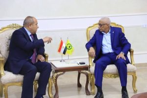 لقاء بين محافظ شمال سيناء ورئيس القناة لتوزيع الكهرباء لدفع التنمية - 1 - سيناء الإخبارية