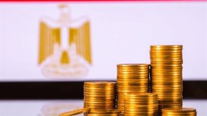 نمو قوي بدخل الفرد يضع مصر على خريطة الاستثمارات الأفريقية - 1 - سيناء الإخبارية