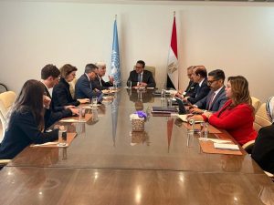 وزير الصحة يفتح آفاقًا جديدة للاستثمار الصحي والتنمية السكانية - 1 - سيناء الإخبارية