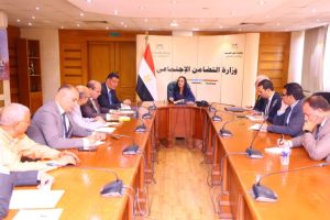 وزيرة التضامن : تحرك كبير لتطوير مؤسسات الدفاع الاجتماعي - 3 - سيناء الإخبارية