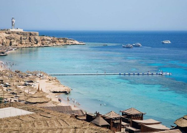 عالم ساحر.. البحر الأحمر مياه فيروزية وكائنات خلابة - 21 - سيناء الإخبارية