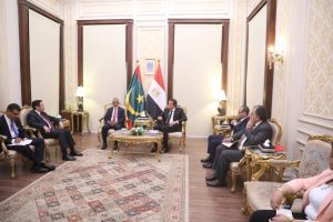 مصر وموريتانيا تعززان شراكتهما الصحية.. تعاون مشترك في الأدوية - 1 - سيناء الإخبارية
