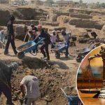 أسرار التنقيب تحت قصر الثقافة بالأقصر: تجديد حبس 4 عمال - 1 - سيناء الإخبارية