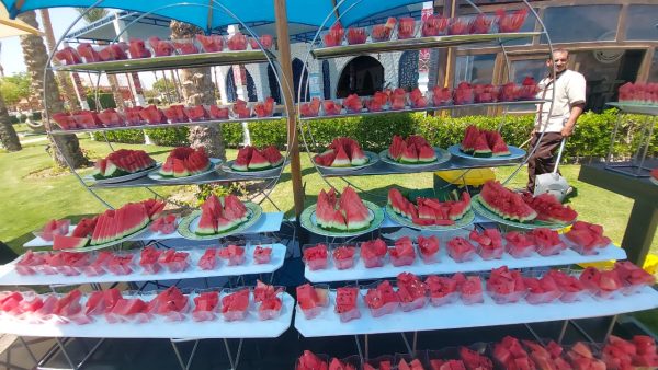 مهرجانات البطيخ.. فرحة الصيف وبهجة الطعم واللون - 7 - سيناء الإخبارية