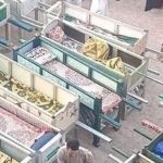 مجزرة الطريق الإقليمي بالمنوفية.. السائق يعترف: "السرعة قتلتهم جميعًا" - 1 - سيناء الإخبارية