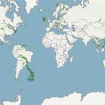 انخفاض درجات الحرارة يستمر.. والأرصاد تحذر من الشبورة المائية وتوقعات بأمطار خفيفة على السواحل - 2 - سيناء الإخبارية انخفاض درجات الحرارة يستمر.. والأرصاد تحذر من الشبورة المائية وتوقعات بأمطار خفيفة على السواحل - 1 - سيناء الإخبارية