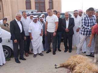محافظ شمال سيناء يؤدي صلاة العيد في الشلاق ويوزّع الأضاحي على الأهالي - 1 - سيناء الإخبارية