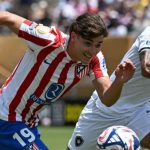 أتلتيكو مدريد يودع مونديال الأندية رغم الفوز على بوتافوجو بصعوبة - 1 - سيناء الإخبارية