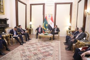 مصر وموريتانيا تعززان شراكتهما الصحية.. تعاون مشترك في الأدوية - 3 - سيناء الإخبارية