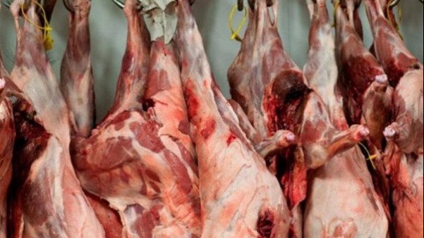 حملة بيطرية موسعة بالعريش تضبط أطنانا من اللحوم الفاسدة - 1 - سيناء الإخبارية