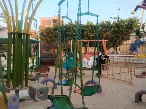 مراكز الشباب بشمال سيناء تواصل استقبال المواطنين في أجواء احتفالية - 3 - سيناء الإخبارية