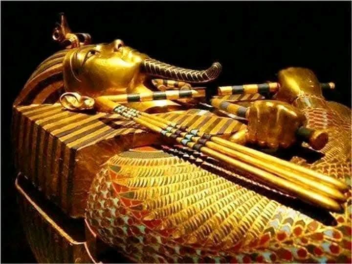 كنوز توت عنخ آمون.. الفرعون الذهبي في المتحف المصري الكبير - 13 - سيناء الإخبارية