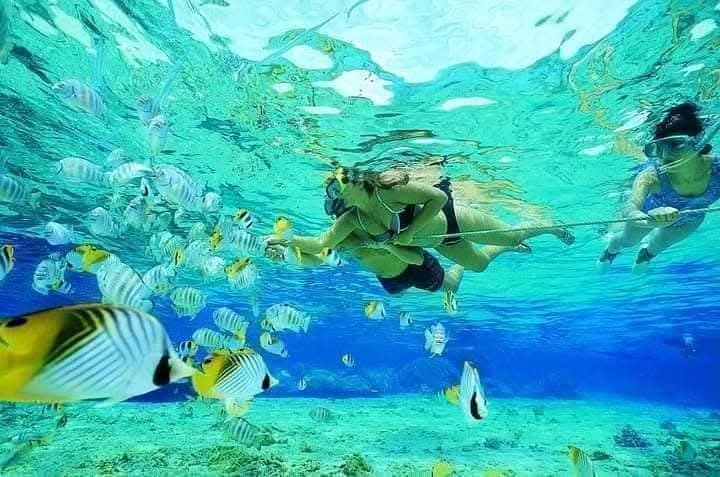 دهب.. لوحة طبيعية ساحرة بجنوب سيناء - 21 - سيناء الإخبارية
