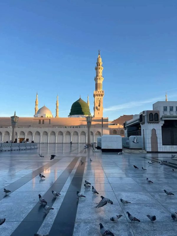 المسجد النبوي: قلب الإسلام وصرح التاريخ المقدس   - 19 - سيناء الإخبارية