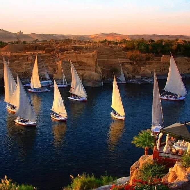المراكب الشراعية في نيل أسوان: رحلة ساحرة بين التاريخ والجمال  - 19 - سيناء الإخبارية