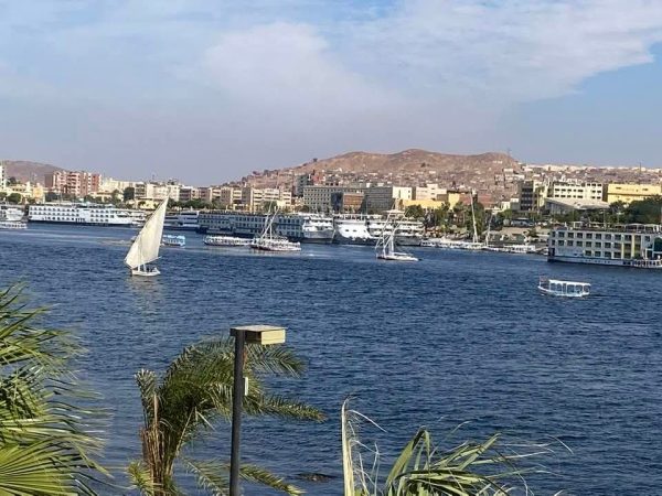 المراكب الشراعية في نيل أسوان: رحلة ساحرة بين التاريخ والجمال  - 11 - سيناء الإخبارية