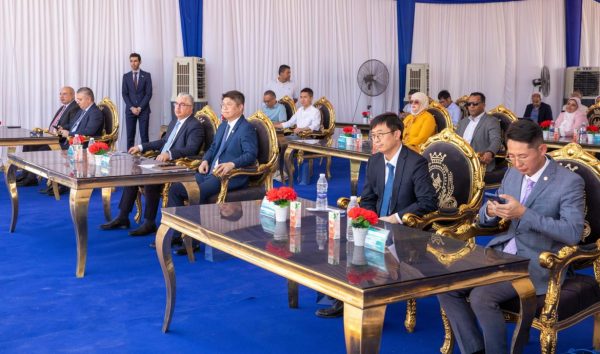 الصين تبدأ تشغيل المرحلة الأولى من مجمع الطاقة الشمسية في مصر بحلول 2026  - 9 - سيناء الإخبارية