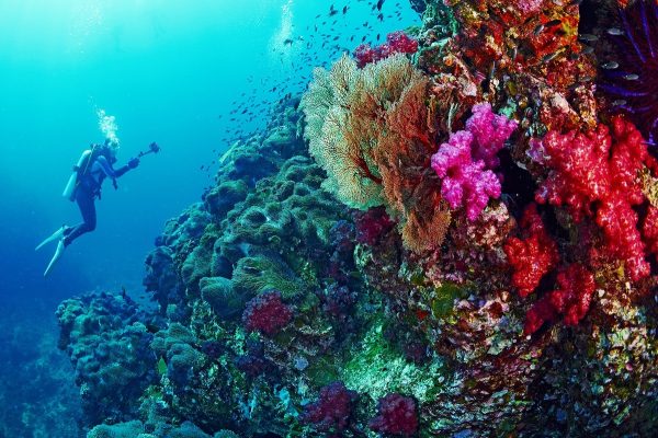 دهب.. لوحة طبيعية ساحرة بجنوب سيناء - 23 - سيناء الإخبارية