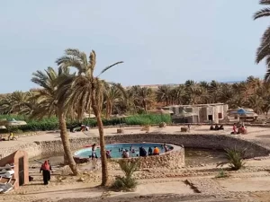 جنوب سيناء تستعد لعيد الأضحى بخطة طوارئ شاملة - 3 - سيناء الإخبارية