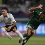 صدام برازيلي مشتعل بين بالميراس وبوتافوجو في كأس العالم للأندية - 1 - سيناء الإخبارية