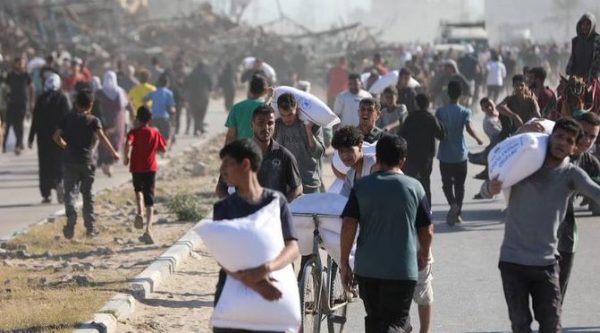 كارثة إنسانية في غزة: الأونروا تحذر من تحول طوابير الغذاء إلى "حقول موت" - 11 - سيناء الإخبارية