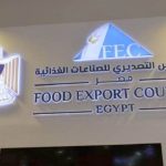 طفرة في الصادرات الغذائية المصرية لبريطانيا خلال عام 2024 - 1 - سيناء الإخبارية