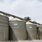 وزير الزراعة: الميكنة الحديثة ضاعفت إنتاج القمح ونستهدف التوسع بأكثر من 500 مليون جنيه - 1 - سيناء الإخبارية