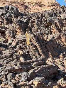 الغابة المتحجرة بجنوب سيناء.. سجل الأرض الصامت يحكي أسرار ملايين السنين - 3 - سيناء الإخبارية