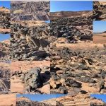 الغابة المتحجرة بجنوب سيناء.. سجل الأرض الصامت يحكي أسرار ملايين السنين - 1 - سيناء الإخبارية