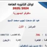 كفيف يتحدى المستحيل ويحصد المركز الأول في الثانوية العامة 2025 - 1 - سيناء الإخبارية