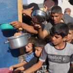 النائب سليمان وهدان: مصر لا تصمت على معاناة غزة - 1 - سيناء الإخبارية