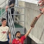 محمد صلاح يتلقى "لعبة شطرنج" من مشجع ياباني ويخطف قلوب الجماهير - 1 - سيناء الإخبارية