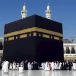 غرفة شركات السياحة تصدر الكتاب الدوري رقم 172 لعام 2025 - 1 - سيناء الإخبارية