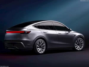 تسلا تدخل السوق الهندي بسيارة Model Y وسط تحديات جمركية - 5 - سيناء الإخبارية